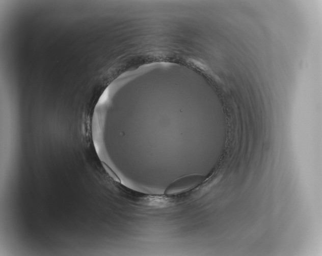 X0000100920528200807221118