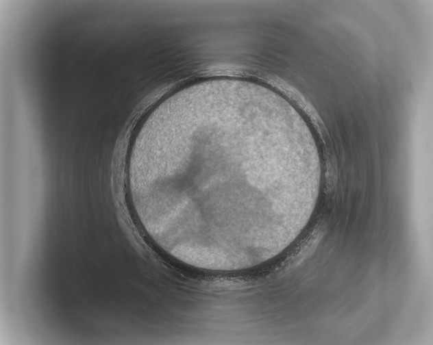 X0000100920529200807221118