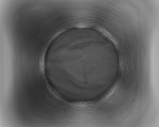 X0000100920530200807221118