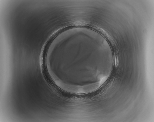 X0000100920531200807221118