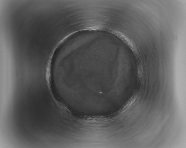 X0000100920532200807221118
