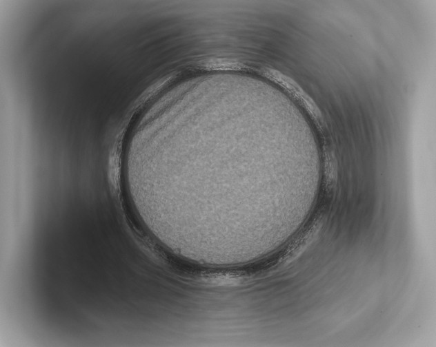 X0000100920533200807221118