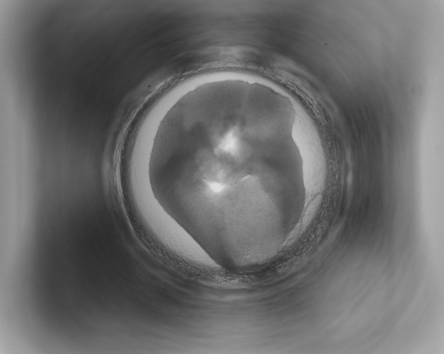 X0000100920534200807221118