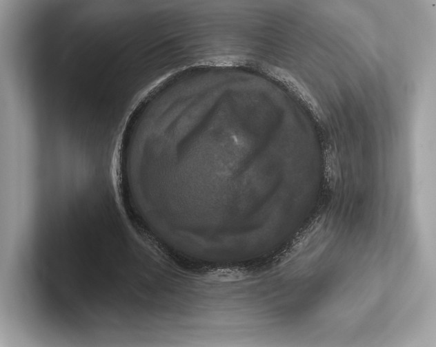 X0000100920536200807221118