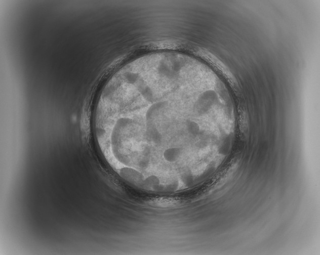 X0000100920537200807221118