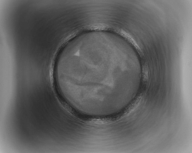 X0000100920538200807221118