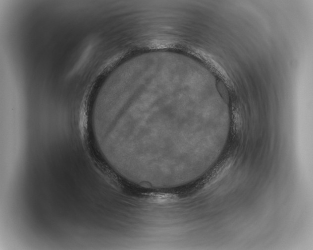 X0000100920539200807221118