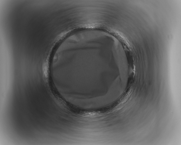 X0000100920540200807221118