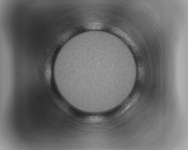 X0000100920541200807221118