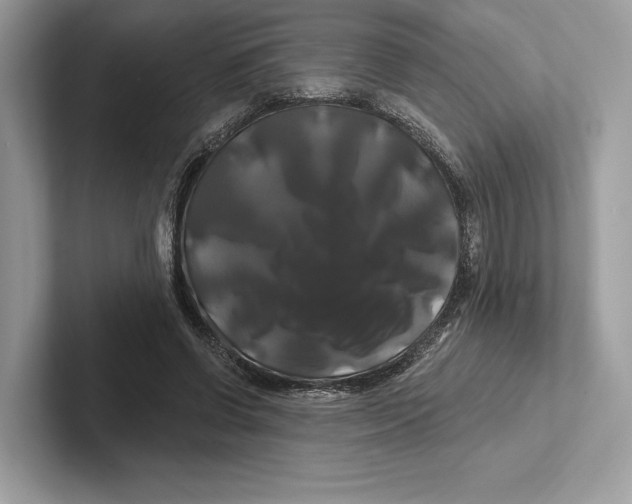 X0000100920542200807221118