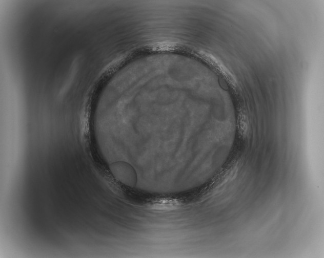 X0000100920543200807221118