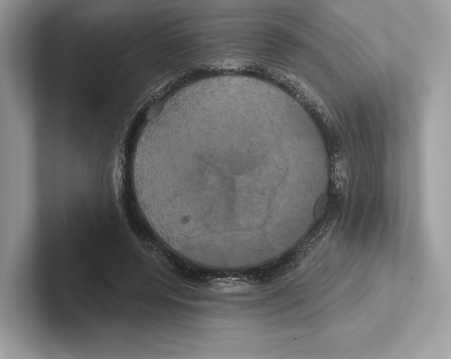 X0000100920544200807221118