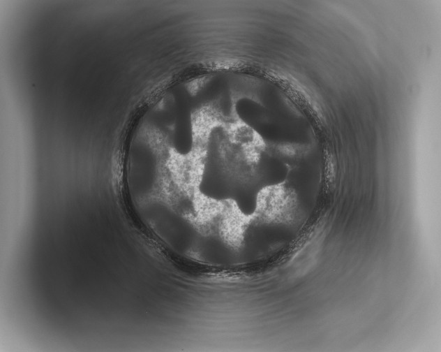 X0000100920545200807221118
