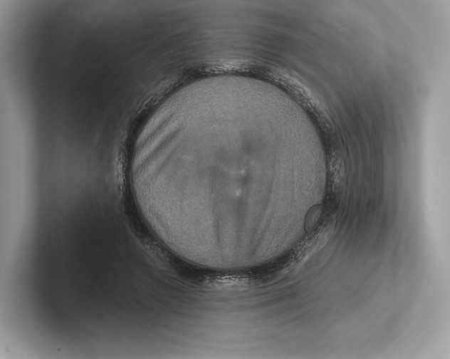 X0000100920546200807221118