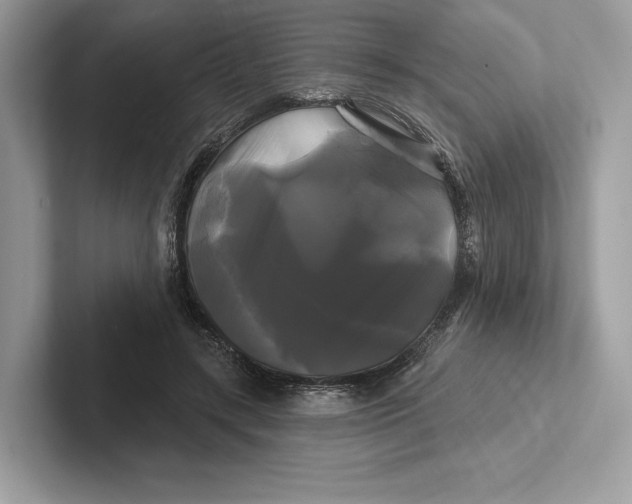 X0000100920547200807221118