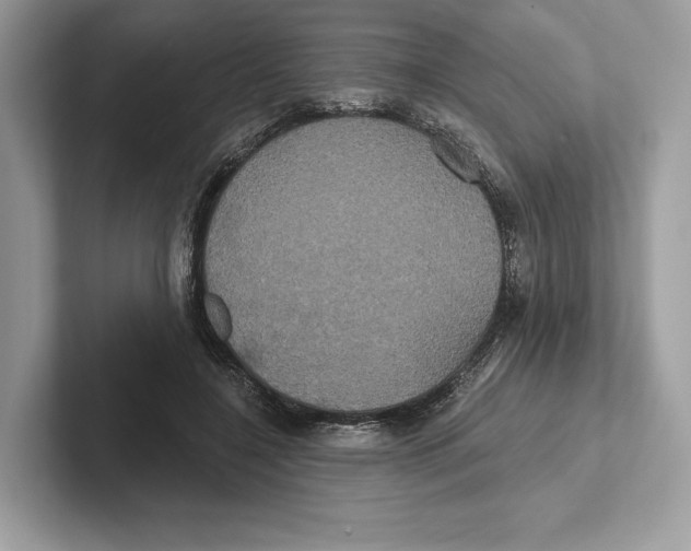X0000100920548200807221118