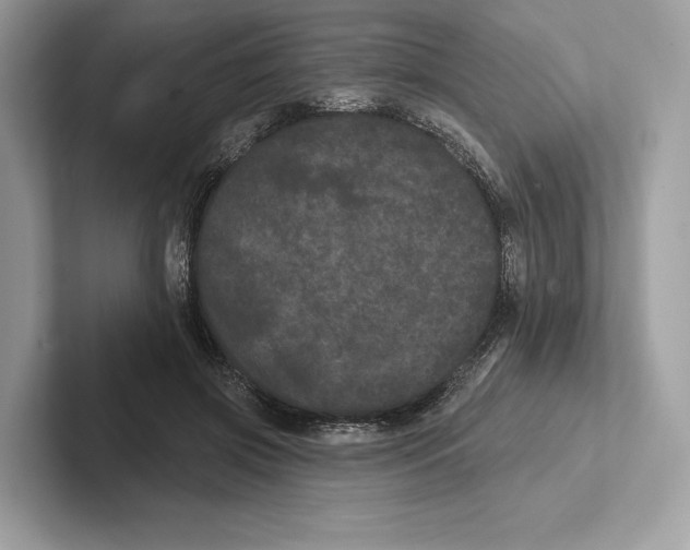 X0000100920549200807221118