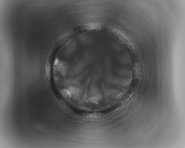 X0000100920550200807221118