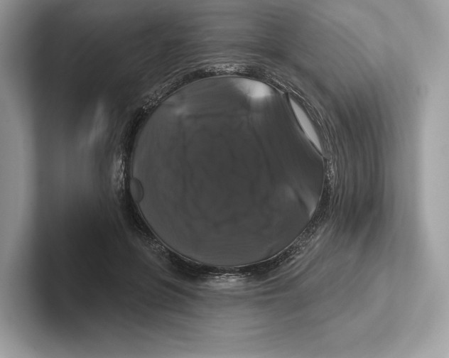 X0000100920551200807221118