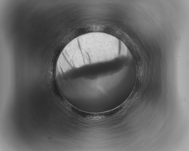 X0000100920553200807221118