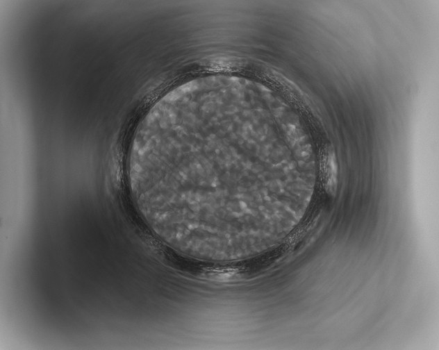X0000100920554200807221118