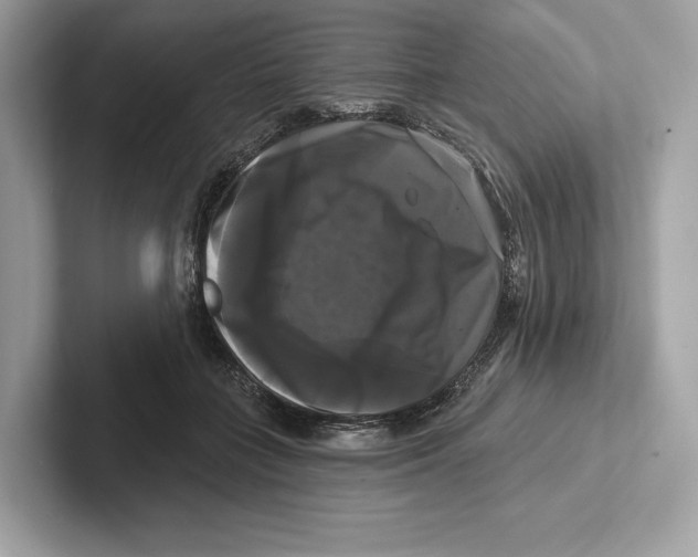 X0000100920555200807221118