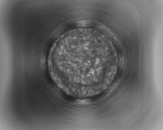 X0000100920557200807221118