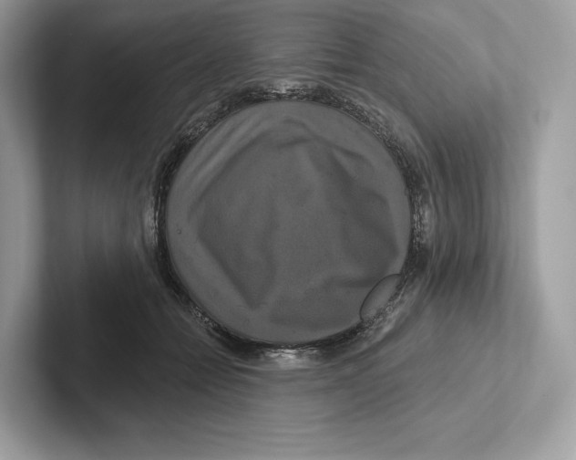 X0000100920558200807221118
