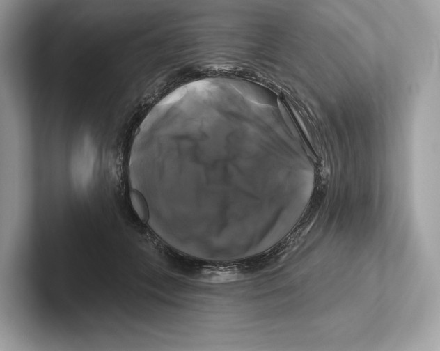 X0000100920559200807221118