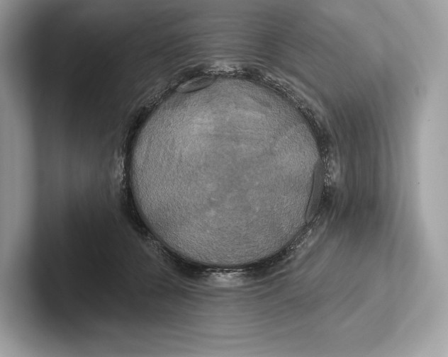 X0000100920560200807221118