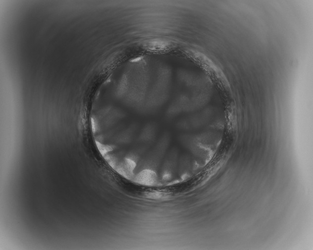 X0000100920561200807221118