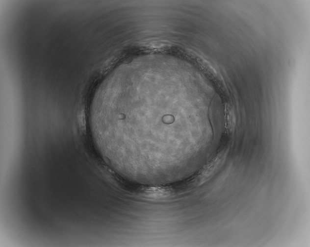 X0000100920562200807221118