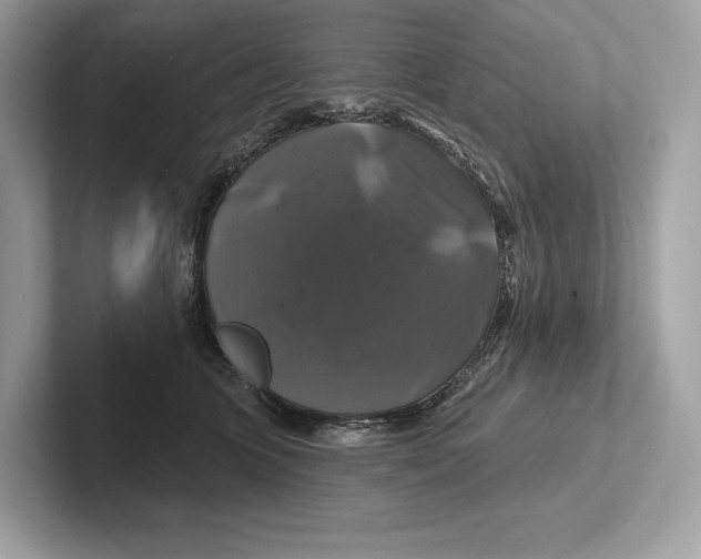 X0000100920563200807221118