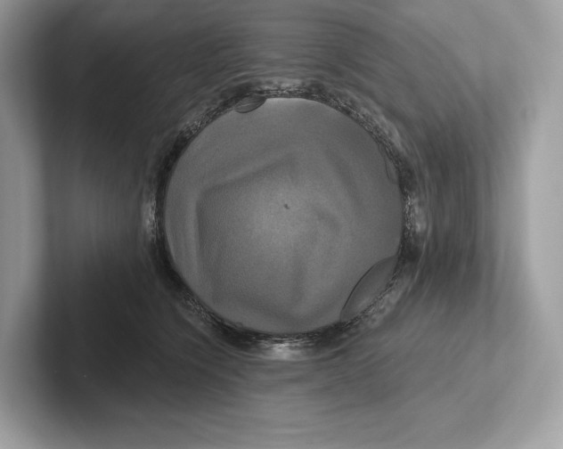 X0000100920564200807221118