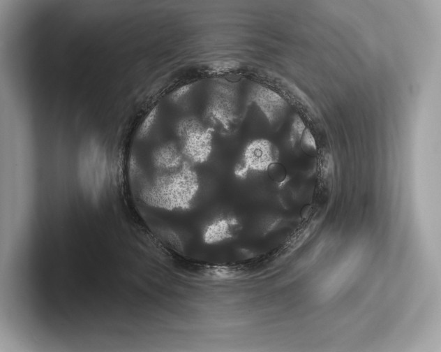 X0000100920565200807221118