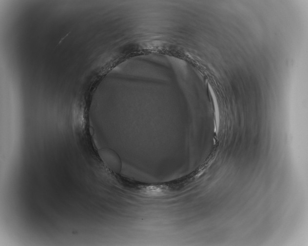 X0000100920566200807221118