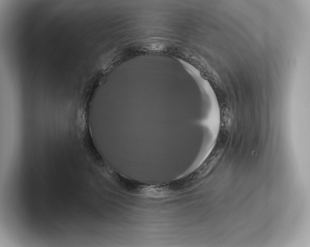 X0000100920568200807221118