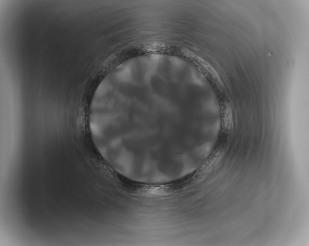 X0000100920569200807221118