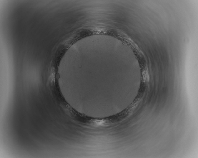 X0000100920570200807221118