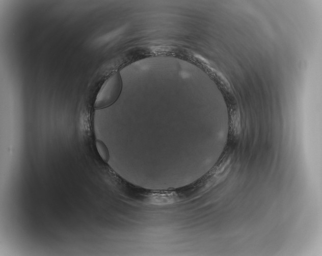 X0000100920571200807221118