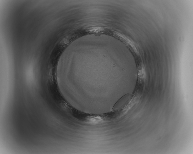 X0000100920572200807221118