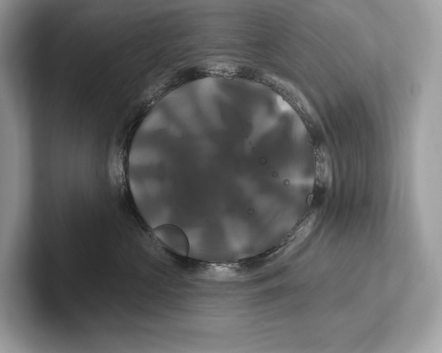 X0000100920573200807221118