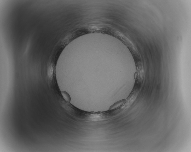 X0000100920574200807221118