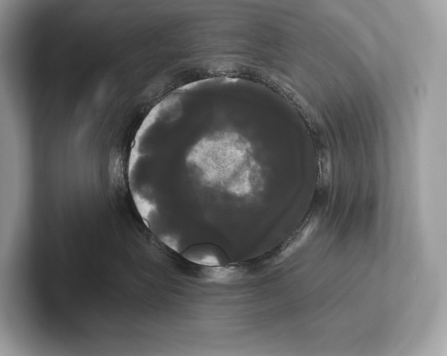 X0000100920575200807221118