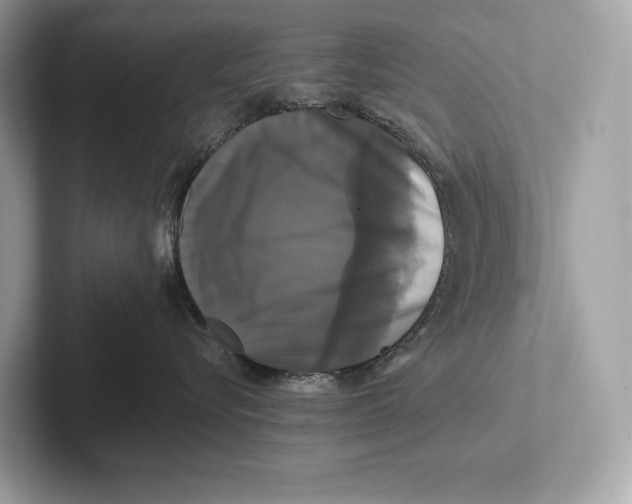 X0000100920576200807221118