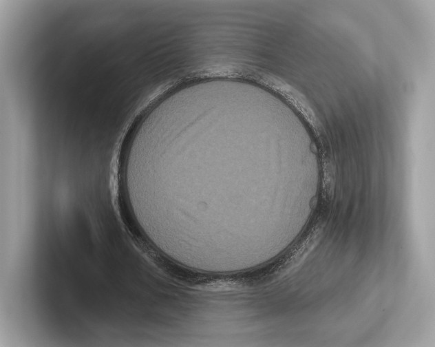 X0000100920578200807221118