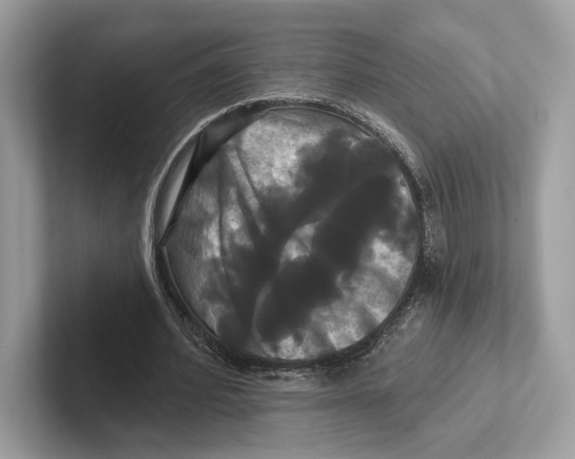 X0000100920580200807221118