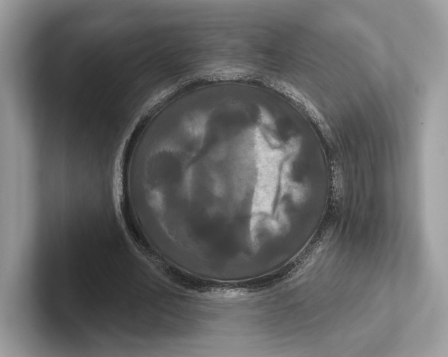 X0000100920582200807221118