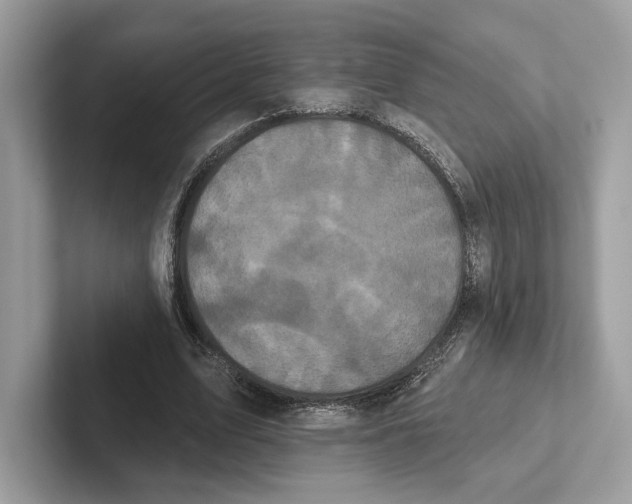 X0000100920583200807221118
