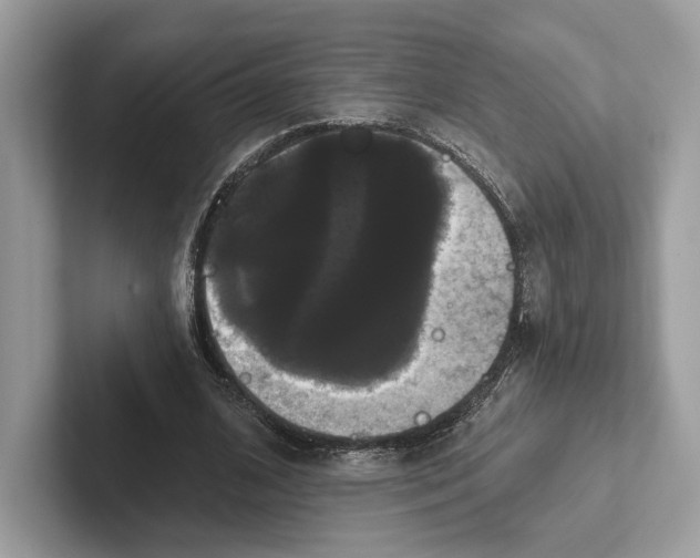 X0000100920584200807221118